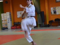 2022_11-Saison_2023_Stage_Ceinture_Noire_Pamiers