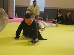 img_0381